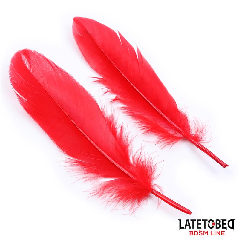 Set de 3 Piezas Antifaz, Plumas y Esposas - Imagen 3