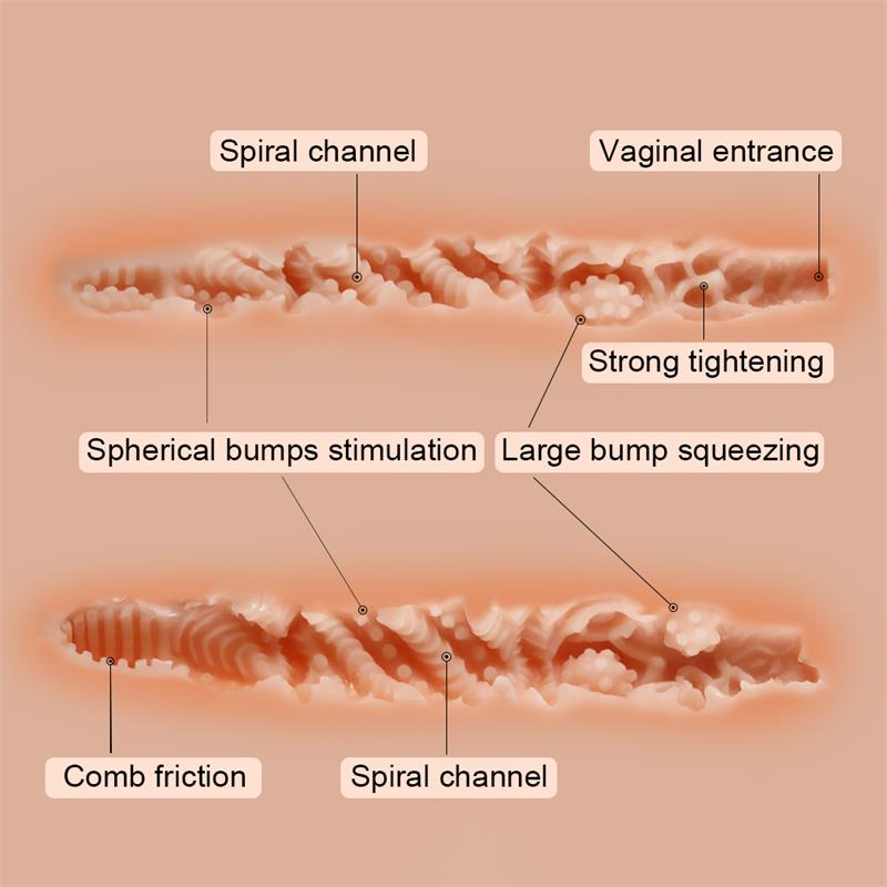 Miah Torso Vagina y Ano 11 kg - Imagen 6